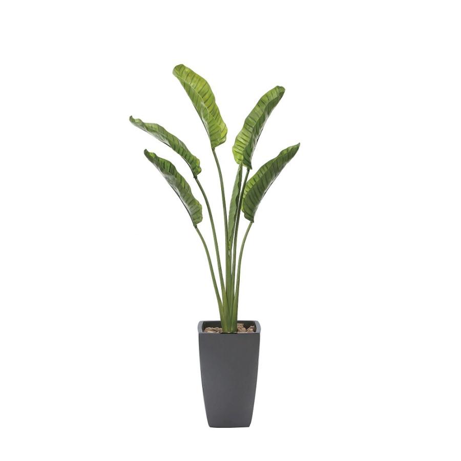 信頼 人工観葉植物 オーガスター 1 85ｍ 光触媒加工 送料無料 フェイクグリーン オーガスター1 85 代引き不可 800a600 きつつき 通販 Yahoo ショッピング 高い素材 Www Maxipiso Com Ar