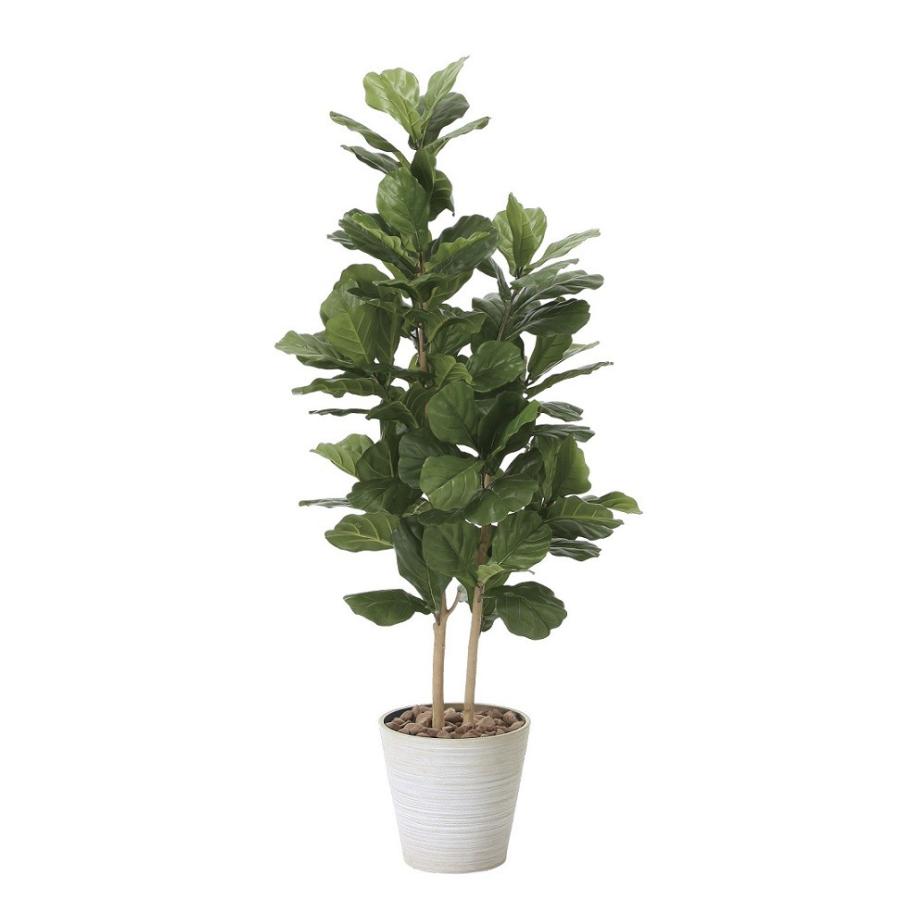 【人工観葉植物】【カシワバゴム1.6】【1.6ｍ】【光触媒加工】【送料無料】【フェイクグリーン】【代引き不可】