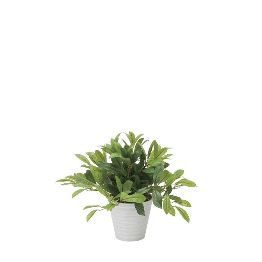 【人工観葉植物】【ローレル】【43ｃｍ】【光触媒加工】【送料無料】【フェイクグリーン】【代引き不可】
