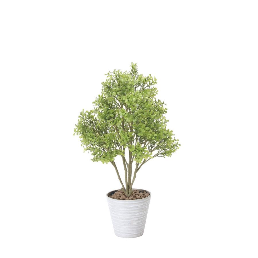 フェイクグリーン 人工観葉植物 ボックスウッド 70cm 光触媒加工 インテリア 送料無料 代引き不可