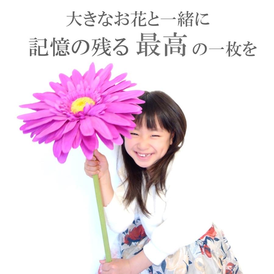 特大サイズ ビックガーベラ 造花 花経29cm 良質 大量注文可能 ガーベラ ビッグ 造花 大きい 限定発売 インテリア 領収書発行 Bg 01 きつつき 通販 Yahoo ショッピング