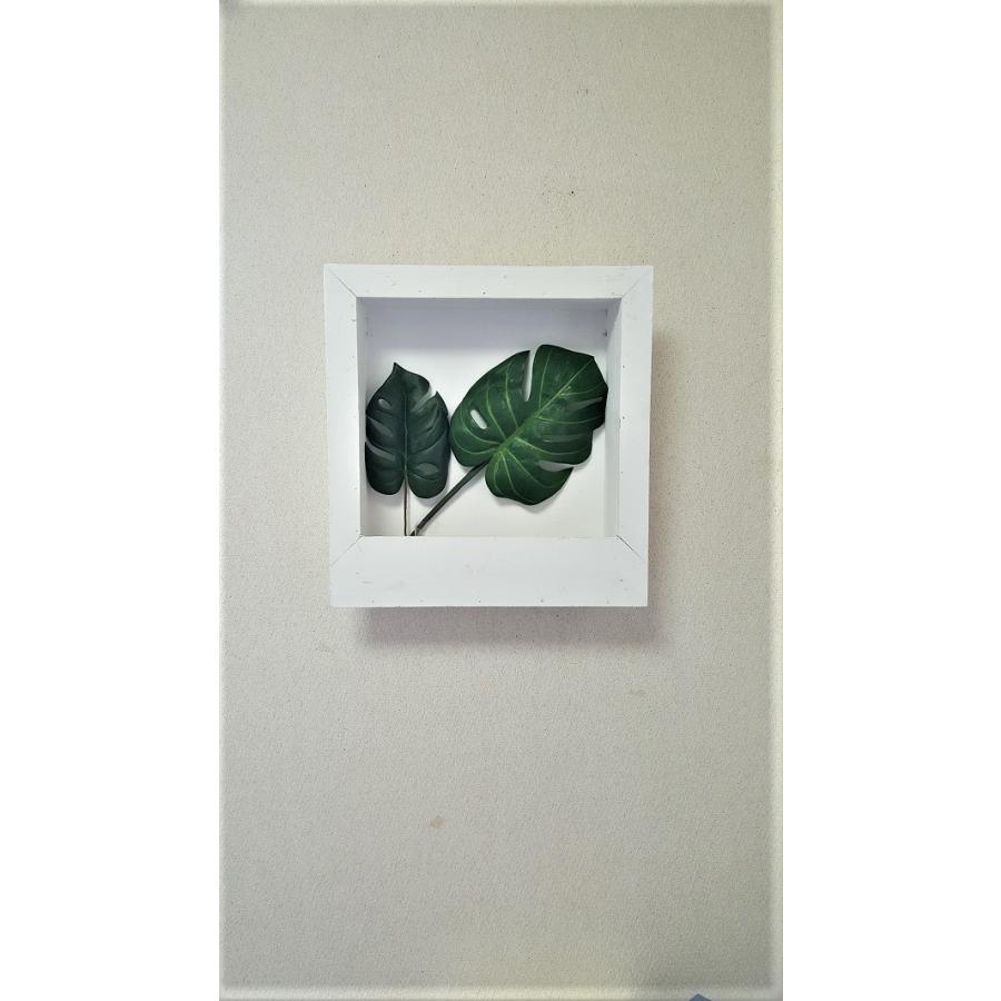 モンステラ壁掛け 人工観葉植物 触媒加工 Dp 555 きつつき 通販 Yahoo ショッピング