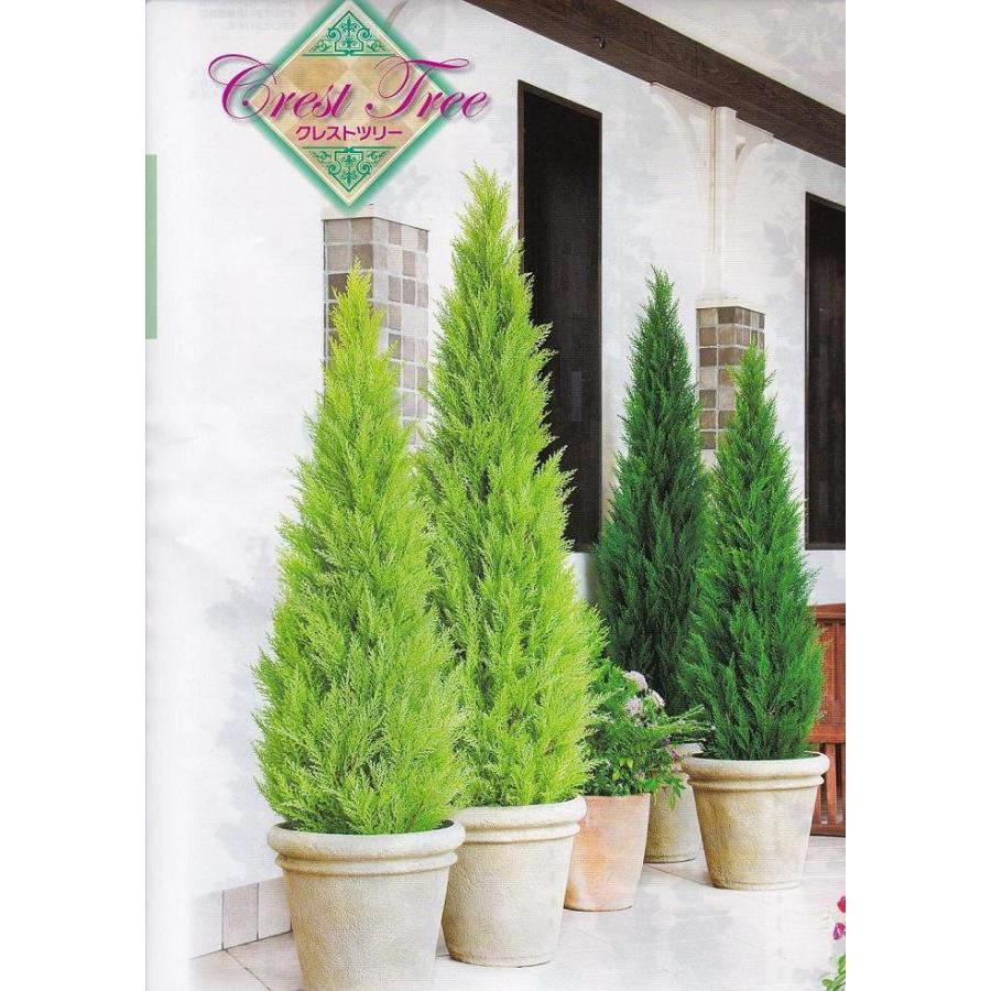 最安値に挑戦 ゴールドクレスト 1.5ｍ 屋外対応 最安値に挑戦 造花