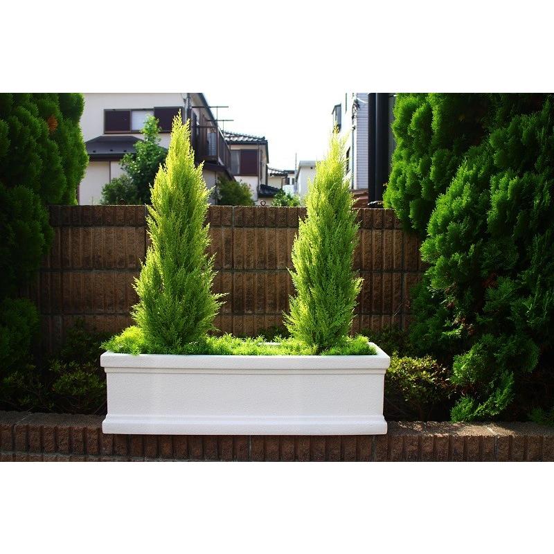 再入荷】 光触媒 観葉植物 人工観葉植物 光の楽園 パキラ 1.8m 植栽付 インテリア フェイク グリーン hi-tech.boutique 再入荷】 光触媒 観葉植物 人工観葉植物 光の楽園 パキラ 1.8m 植栽付 インテリア フェイク グリーン hi-tech.boutique