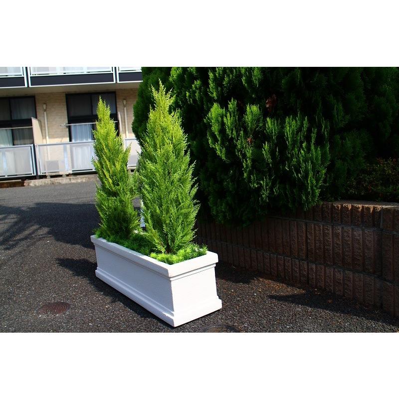 屋外対応 ゴールドクレスト大型アレンジメント 枯れない フェイク