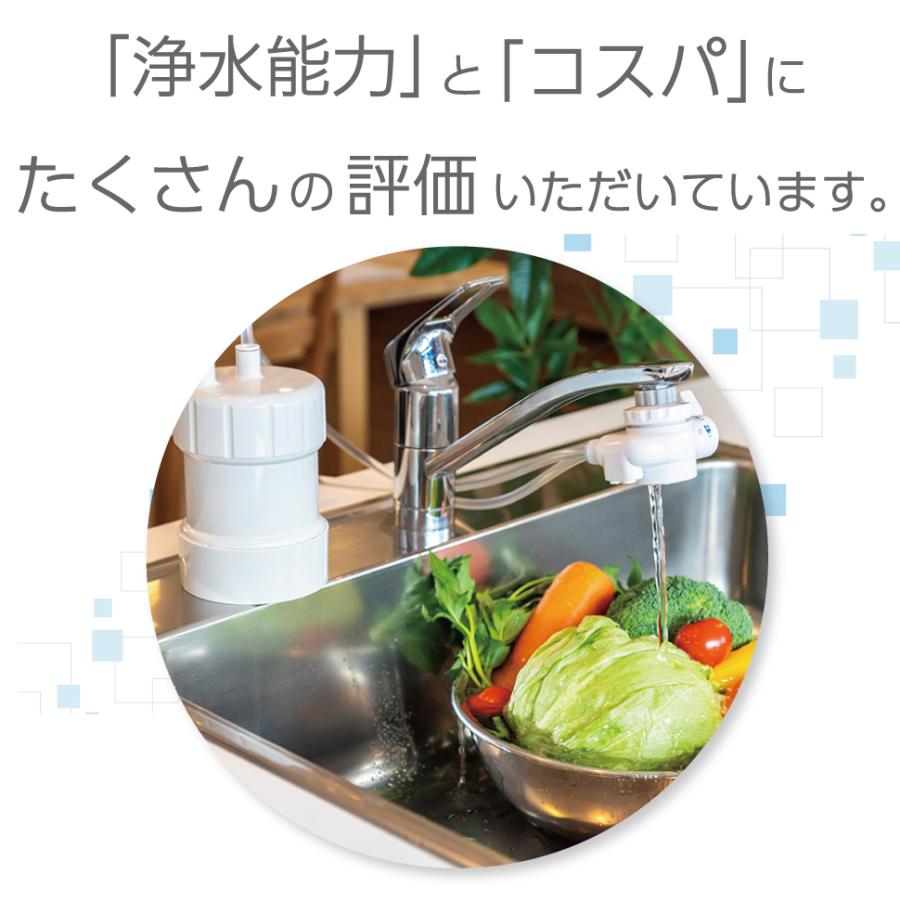有PFOSとPFOAを除去できる最上級クラス浄水カートリッジ3個【送料込み】 楽天市場】浄水器 ゴクリア 2年交換 清潔＆コスパ 高性能 PFAS PFOS