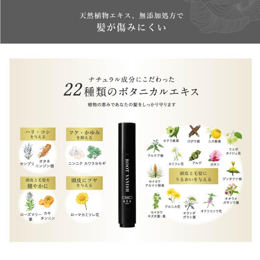 ROOT VANISH カラーシャンプー・トリートメント・白髪隠しブラシセット 綺和美 白髪染めコンプリート3点セット 白髪染め カラー