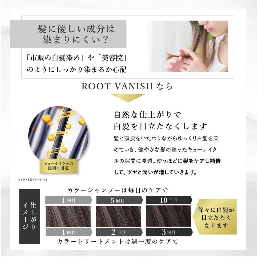 ROOT VANISH カラーシャンプー・トリートメント・白髪隠しブラシセット 綺和美 【白髪染めベーシックケアセット】白髪染め 敏感肌用