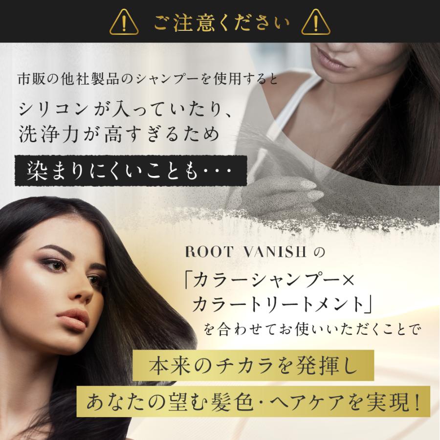 綺和美 白髪染め 3本セット カラートリートメント 部分染め ヘア 綺和美 白髪染め 3本セット カラートリートメント 部分染め ヘア