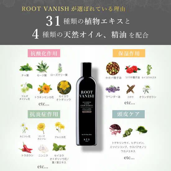 敏感肌用 白髪染めカラートリートメント 綺和美 【白髪染めベーシックケアセット】白髪染め 敏感肌用