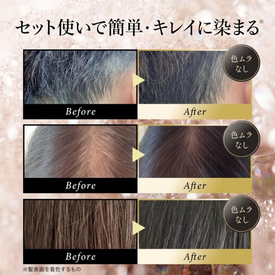 白髪染めベーシックケアセット】白髪染め カラートリートメント
