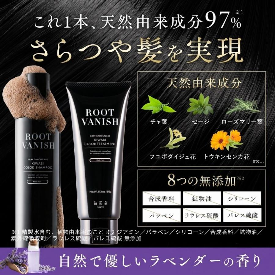 白髪染めベーシックケアセット】白髪染め カラートリートメント