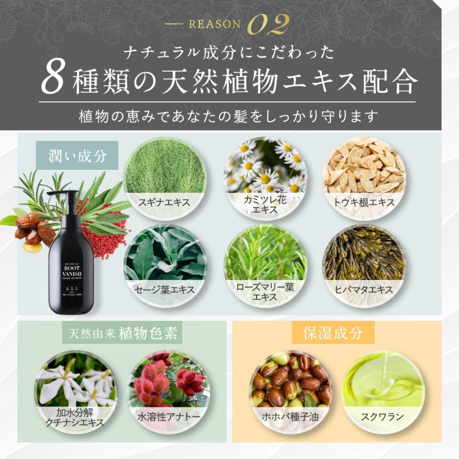 完売 2本セット 綺和美 白髪染め カラーシャンプー 部分染め ヘアマニキュア 白髪 白髪染 簡単 手軽 女性用 男性用 Kiwabi Root Vanish 送料無料 最新情報 Turningheadskennel Com