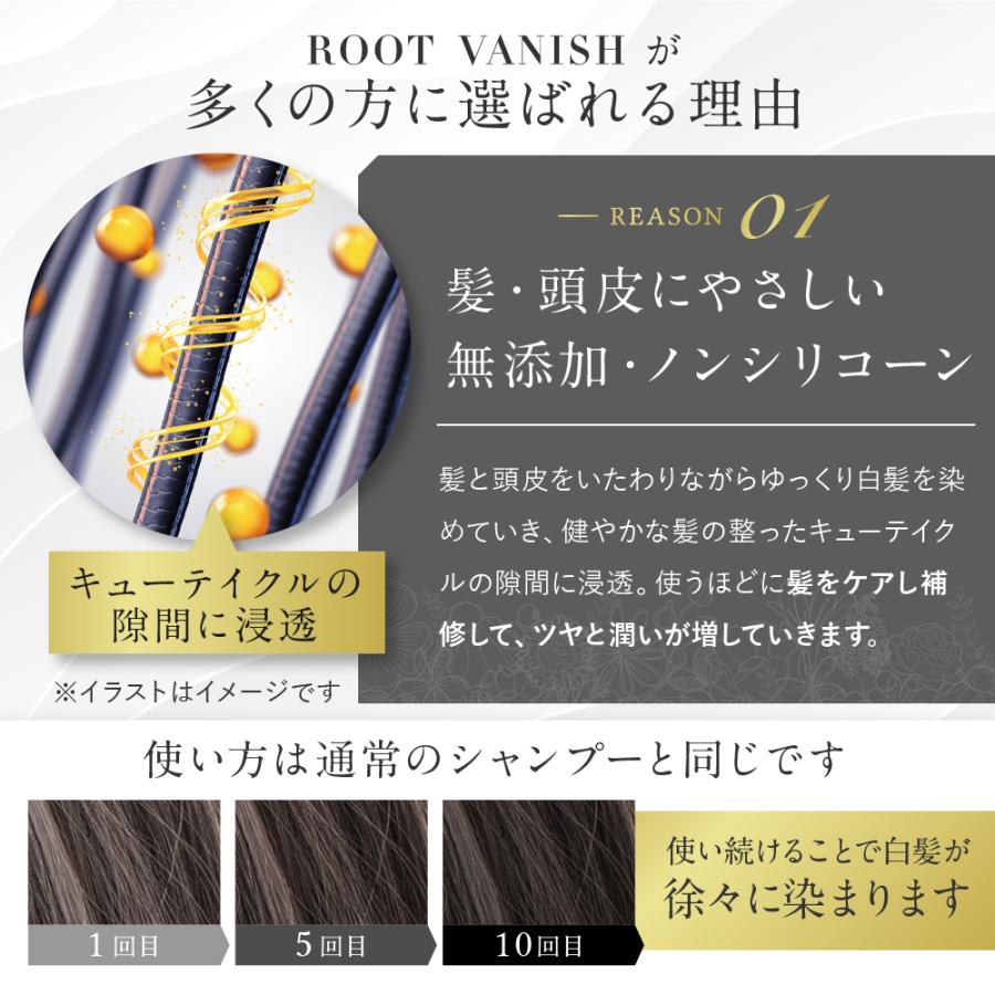 即納 最大半額 カラーシャンプー 白髪染め 綺和美 3本セット 部分染め 送料無料 Vanish Root Kiwabi 男性用 女性用 ヘアカラー 手軽 簡単 白髪染 白髪 ヘアマニキュア 白髪染め カラー ダークブラウン Www Dimariamalasanita It