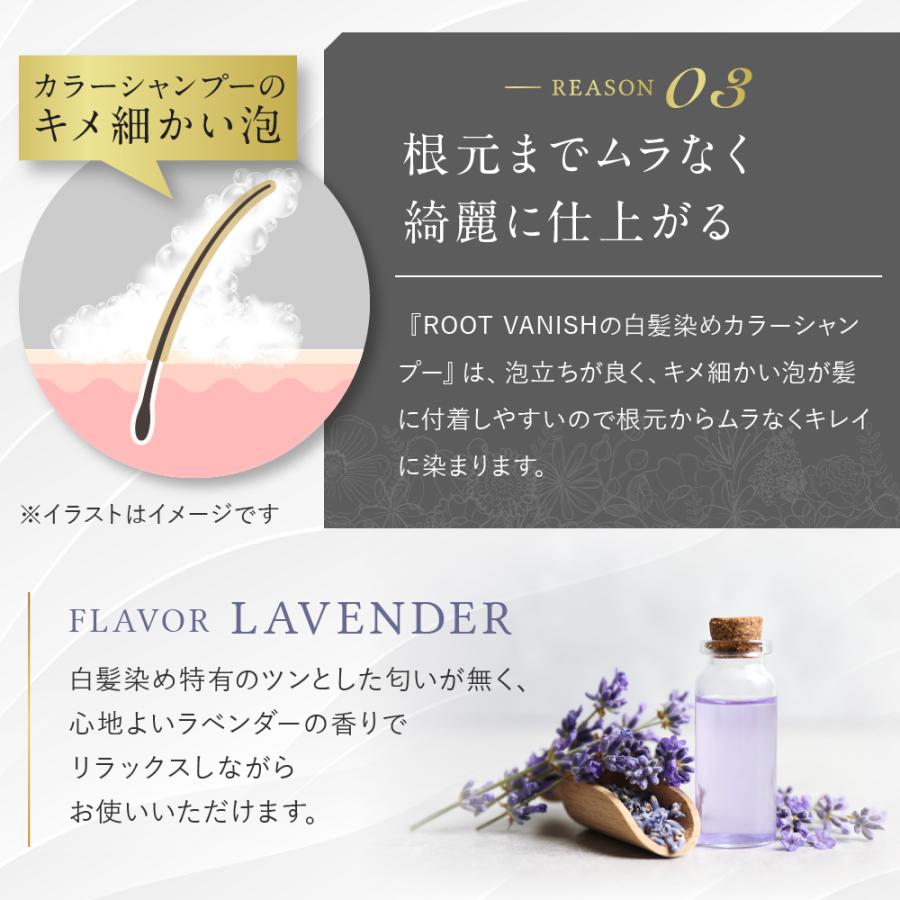 即納 最大半額 カラーシャンプー 白髪染め 綺和美 3本セット 部分染め 送料無料 Vanish Root Kiwabi 男性用 女性用 ヘアカラー 手軽 簡単 白髪染 白髪 ヘアマニキュア 白髪染め カラー ダークブラウン Www Dimariamalasanita It