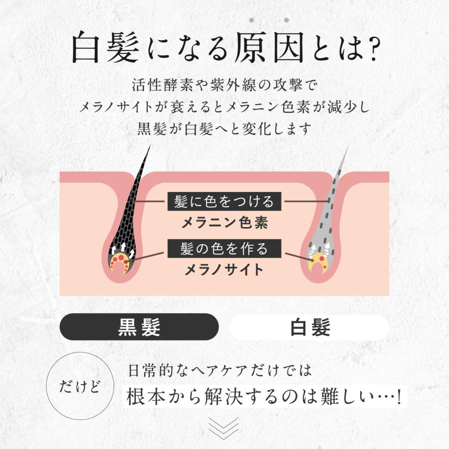 白髪ケアセラム 2セット 白髪ケア 頭皮ケア エイジングケア 天然由来