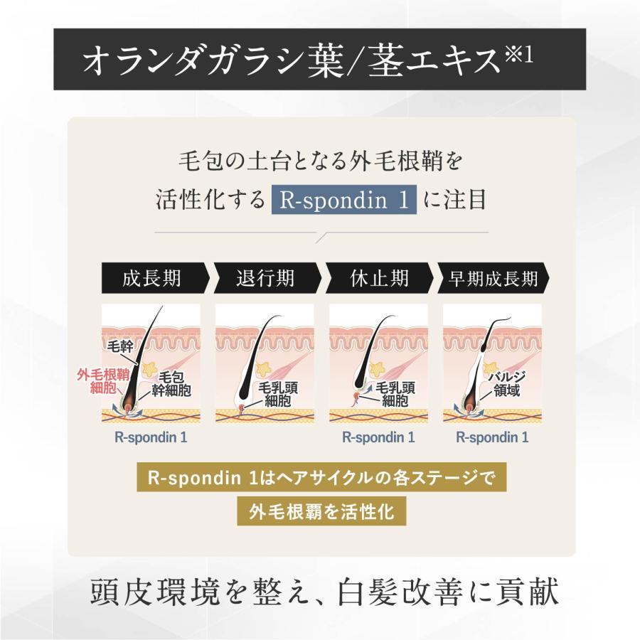 白髪ケアセラム 3セット 白髪ケア 頭皮ケア エイジングケア 天然由来