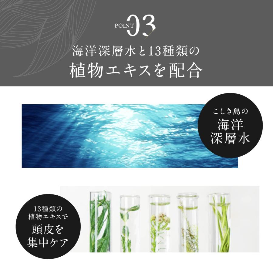 【母の日ギフト 10%OFF】白髪ケアセラム 白髪ケア エイジングケア 植物エキス ポリフェノール 亜鉛 ビタミン 頭皮用美容液_11