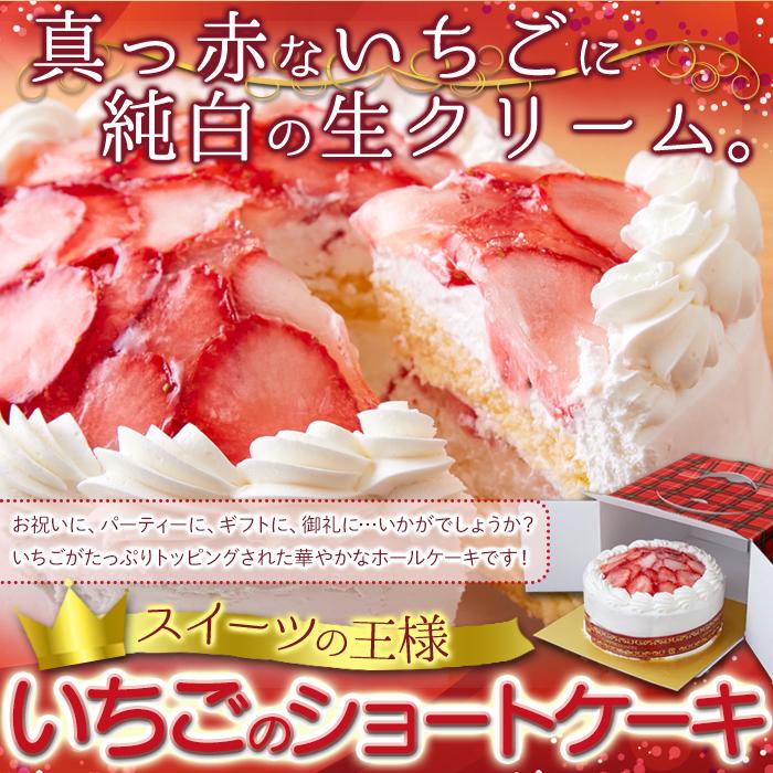 いちご ショートケーキ 5号 国産 北海道 濃厚 ホール フルーツ ホール