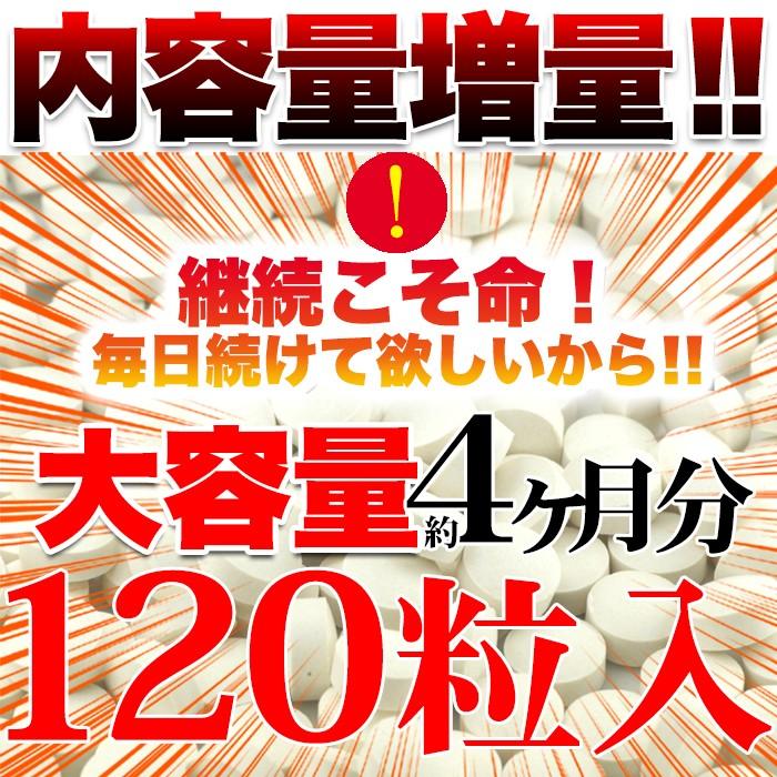 黒セサミン＋スタミナサプリ サプリ 黒ゴマ 国内製造 日本製  サプリメント 送料無料 大量 ポイント消化  約4ヵ月分 〔120日分×1袋〕 〔メール便出荷〕｜kiwami-honpo｜03