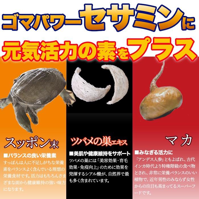 黒セサミン＋スタミナサプリ サプリ 黒ゴマ 国内製造 日本製  サプリメント 送料無料 大量 ポイント消化  約4ヵ月分 〔120日分×1袋〕 〔メール便出荷〕｜kiwami-honpo｜04