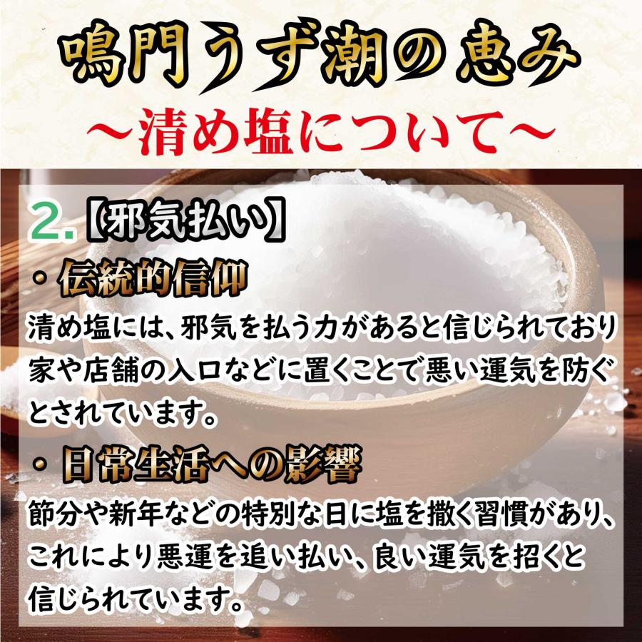 清め塩 盛り塩 808g 国産 鳴門の海塩 お清めの塩 厄除け 邪気祓い