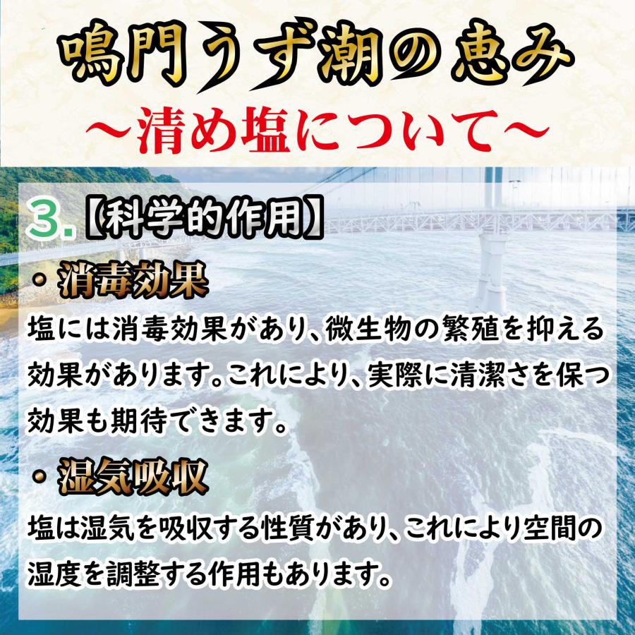 清め塩 盛り塩 808g 国産 鳴門の海塩 お清めの塩 厄除け 邪気祓い
