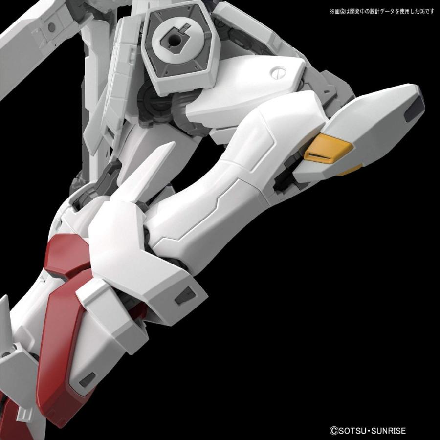 BANDAI（バンダイ） 1/144スケール RG 機動戦士クロスボーン・ガンダム