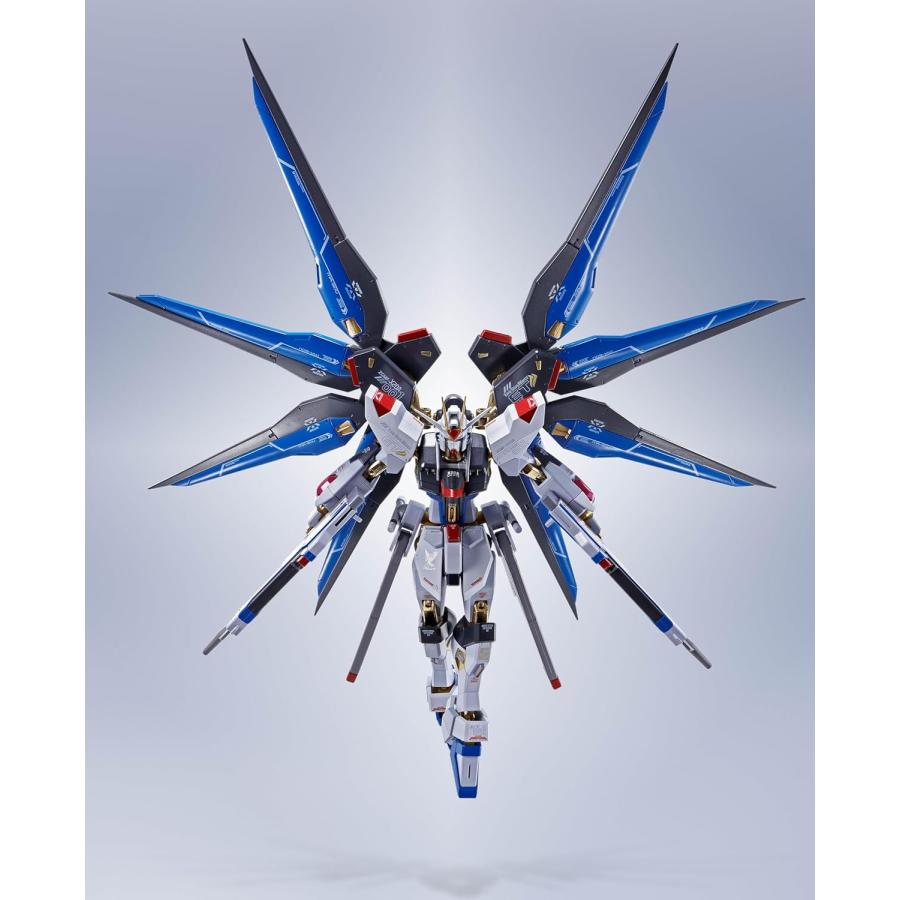 BANDAI（バンダイ） ROBOT魂 機動戦士ガンダムSEED DESTINY ＜SIDE MS