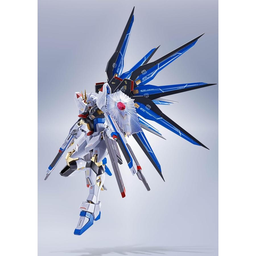BANDAI（バンダイ） ROBOT魂 機動戦士ガンダムSEED DESTINY ＜SIDE MS