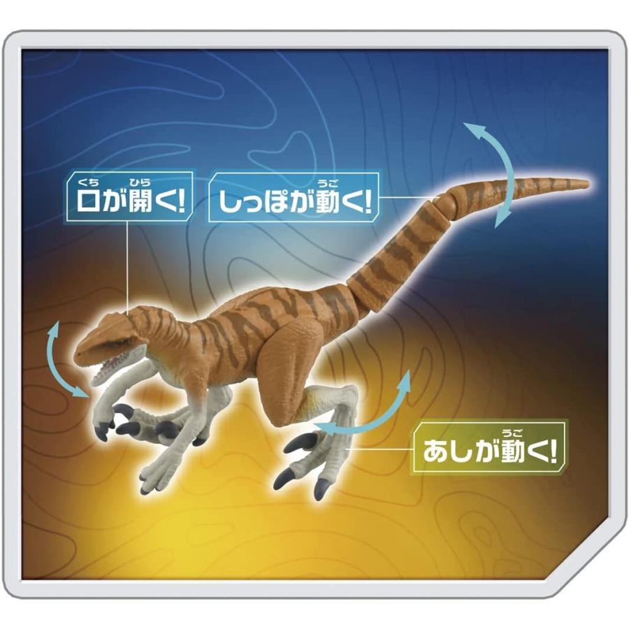ジュラシックワールド 恐竜 フィギュア アトロキラプトル 大型 タカラトミー（TAKARA TOMY） アニア ジュラシック・ワールド アトロキ