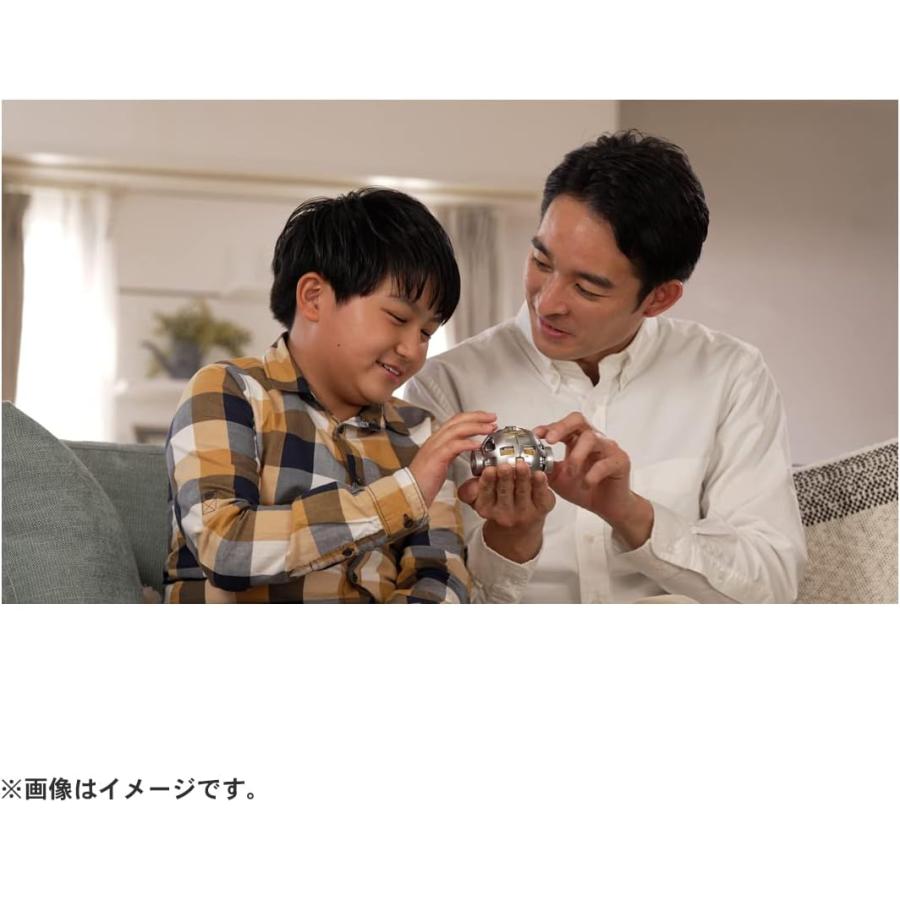 SORA-Q Flagship Model SORA ソラキュー