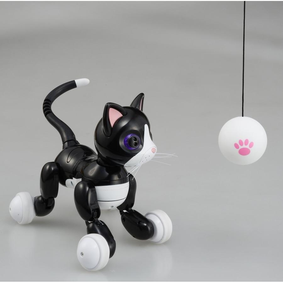 タカラトミー（TAKARA TOMY） Omnibot Hello! Woonyan （ハロー! ウ