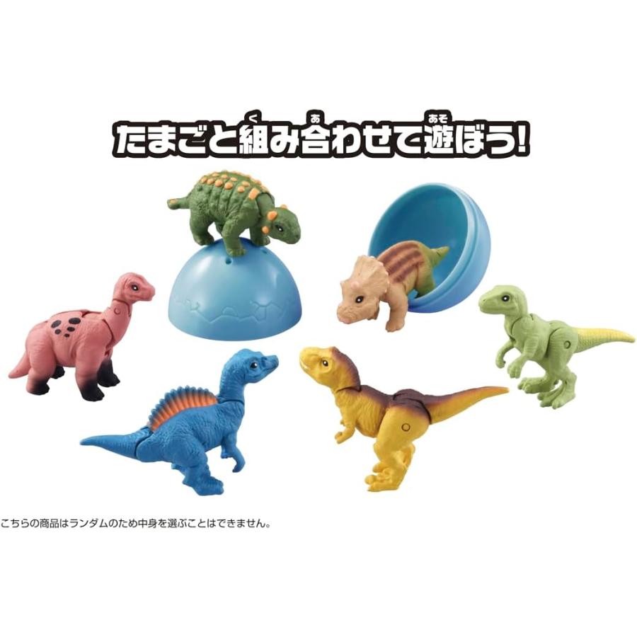 タカラトミー（TAKARA TOMY） アニアのたまご 恐竜コレクション (12個