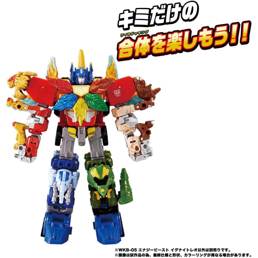 タカラトミー（TAKARA TOMY） トランスフォーマー ワイルドキング WKB