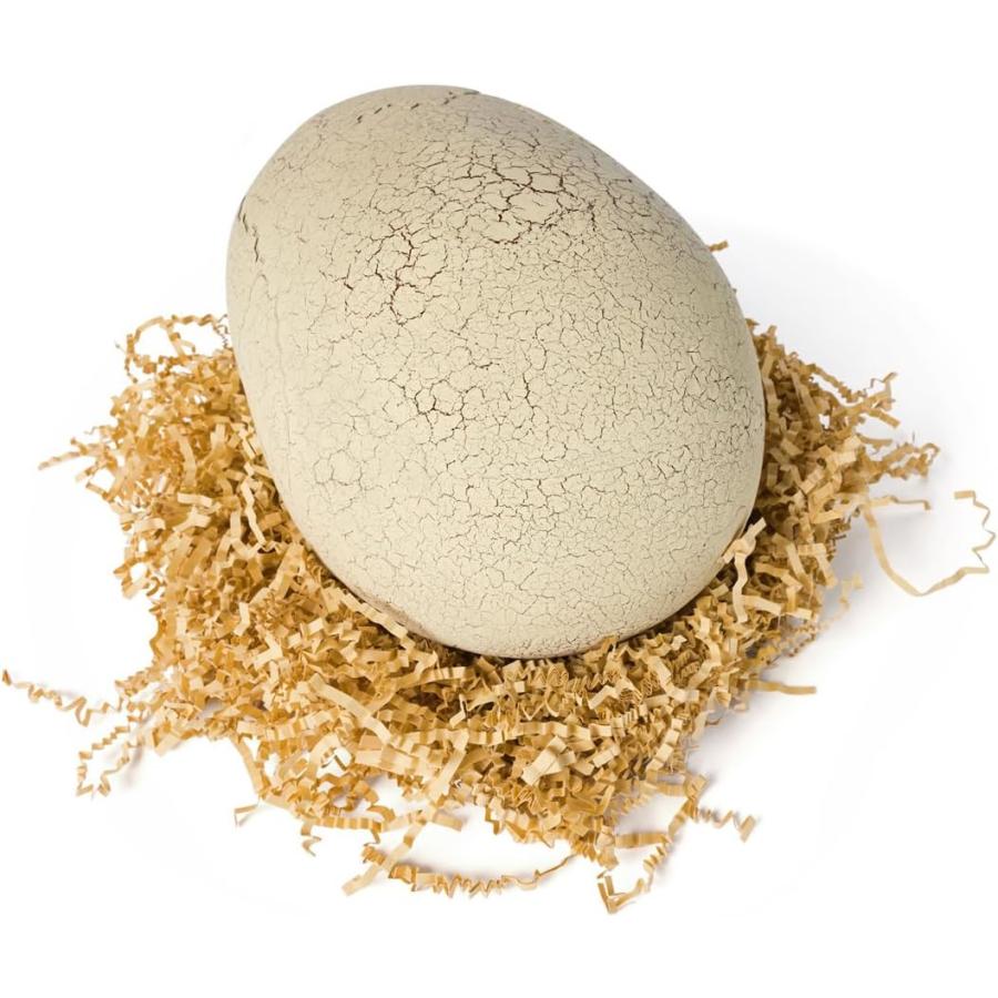 タカラトミー（TAKARA TOMY） うまれて!ウーモ ジュラシック・ワールド