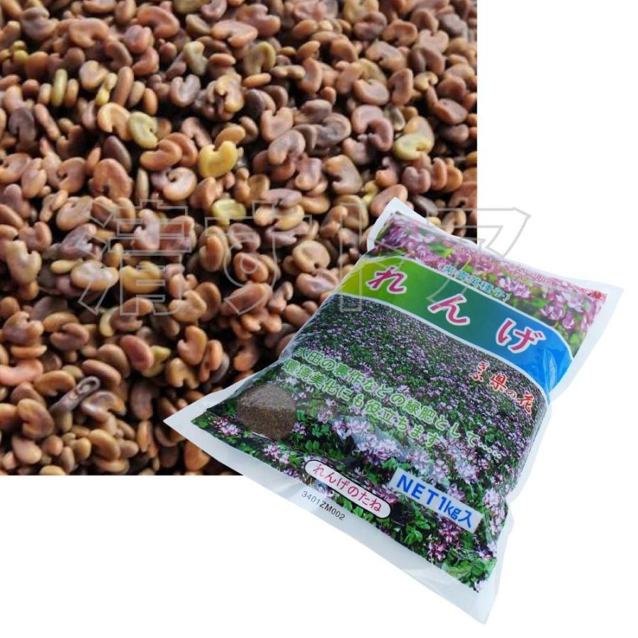 24年 れんげ種子 5kg 24年れんげ種子5kg