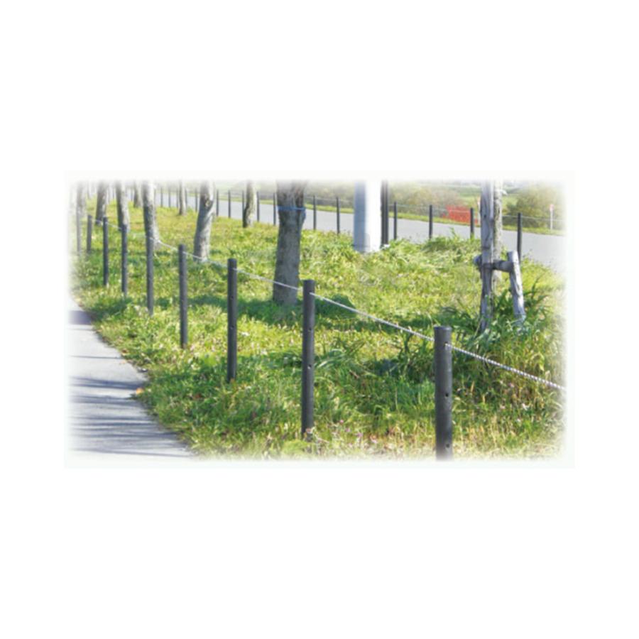 樹脂製杭 打込み杭 造園 プラ杭 人工杭 国産 大研化成 万能杭 φ55×1200mm 9本 B-5512 [メーカー直送]の画像