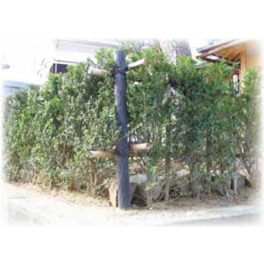 (メーカー直送) 擬木杭 &phi;60&times;1200mm 9本(1本あたり2110円) 木肌杭 国産 G-6012