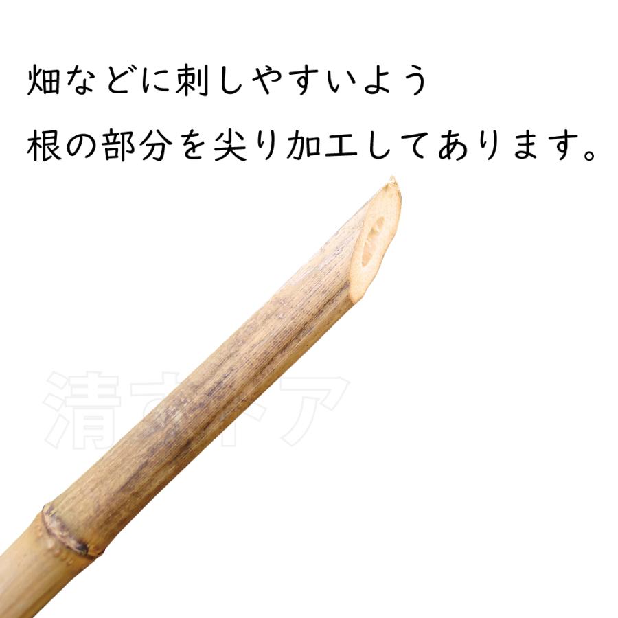 女竹 4尺 100本(1本あたり47円) 径8〜18mm×長さ120cm 雌竹 め