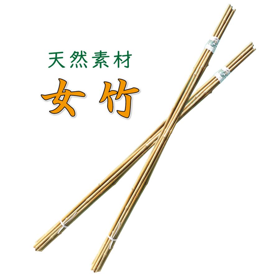 竹支柱 園芸用竹 竹杭 添え柱 雌竹 めだけ めたけ 女竹 4尺 径8〜18mm 