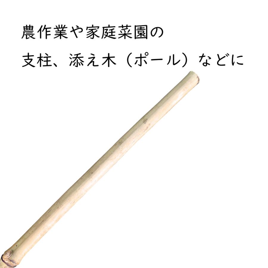 女竹 6尺 100本 1本あたり92円 径8 18mm 長さ180cm 根尖り加工 雌竹 めだけ 竹支柱 なよたけ しのたけ めたけ Oi Metake 6 清すトア ヤフーショッピング店 通販 Yahoo ショッピング
