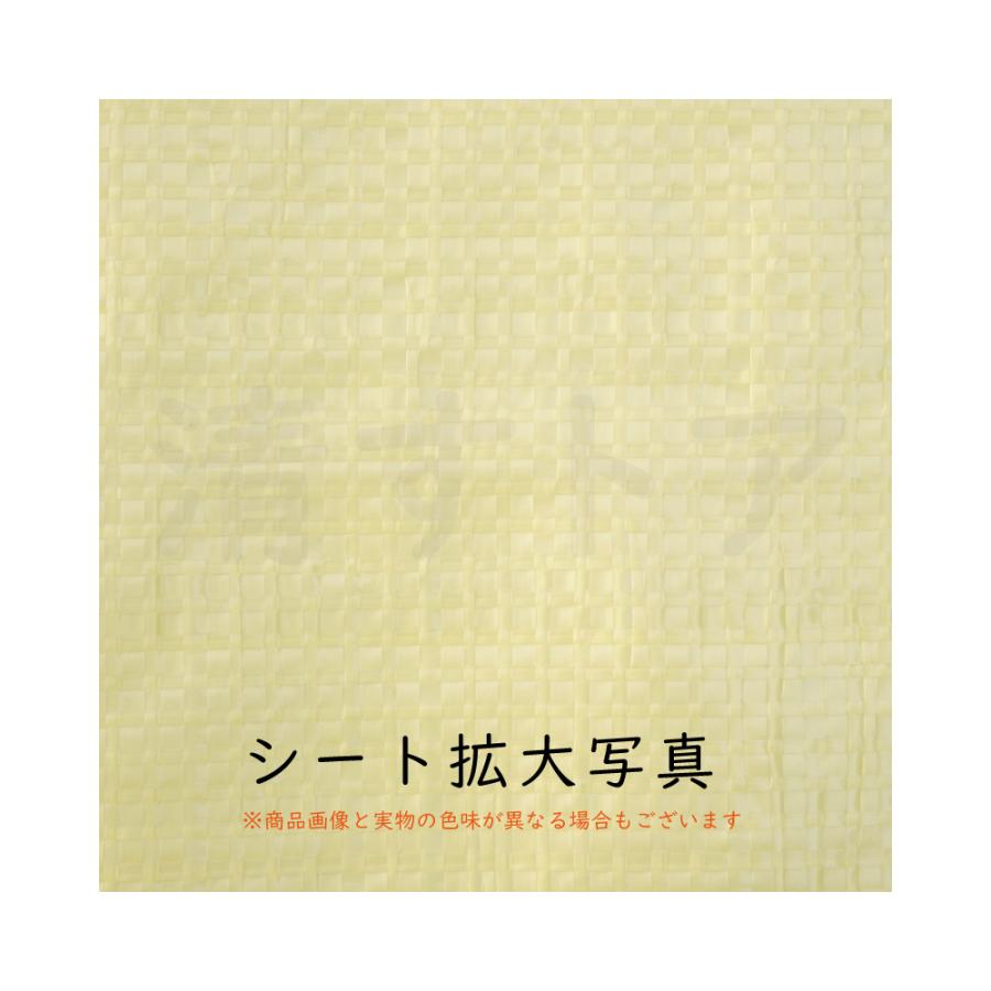 [送料無料] 基礎エッジPPシート 1m×50m 1巻 ポリプロピレン12×12 養生シート｜kiyo-store｜02