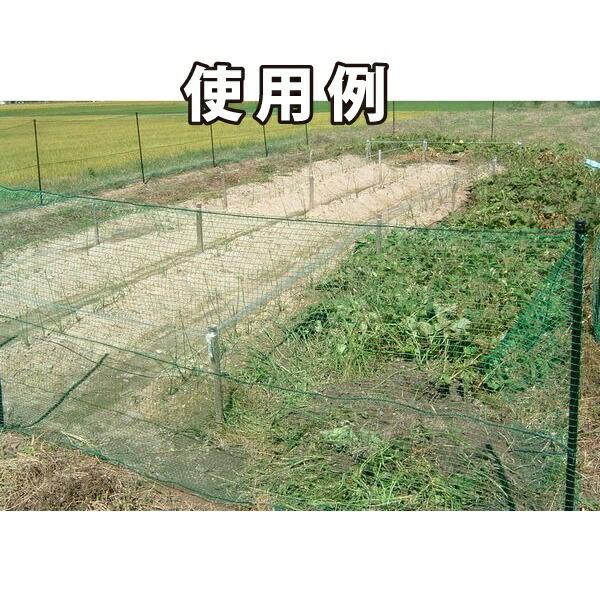 防護ネット 防獣ネット 害鳥ネット 風散防 侵入防止 畑囲い シンセイ 