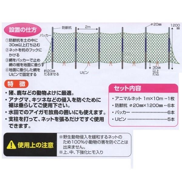 [送料無料] アニマル＆万能ネットセット 1m×10m 16mm目合 ネット＋支柱 侵入防止 畑囲い 防獣ネット シンセイ｜kiyo-store｜06