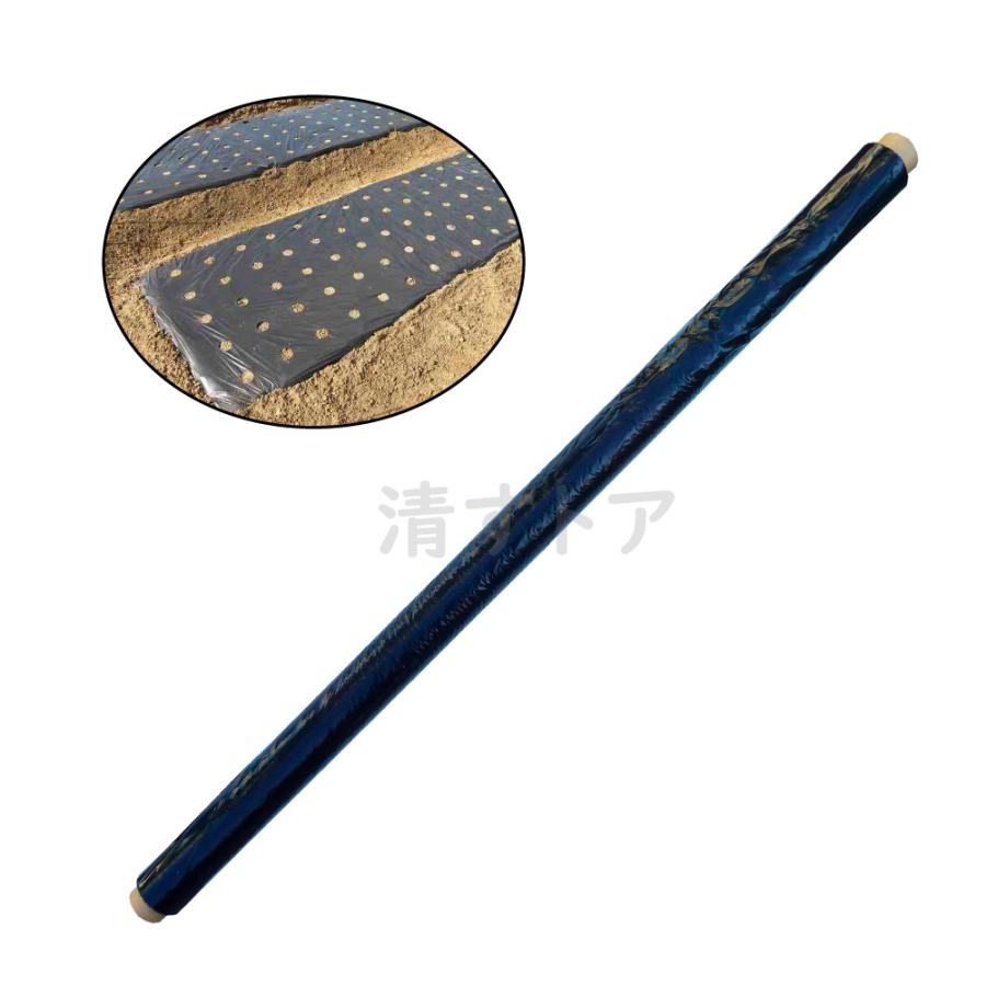 ホールマルチ 3715 ブラック 135cm×50m 1巻 玉ねぎマルチ 黒穴 ホールマルチ 3715 ブラック 135cm×50m 1巻 玉ねぎマルチ 黒穴