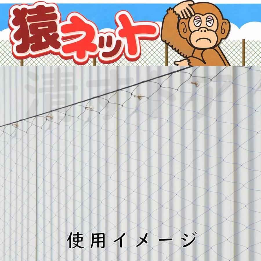 猿ネット 3m×20m 2枚(1枚あたり1550円) 45mm目合 害獣除け網 動物侵入