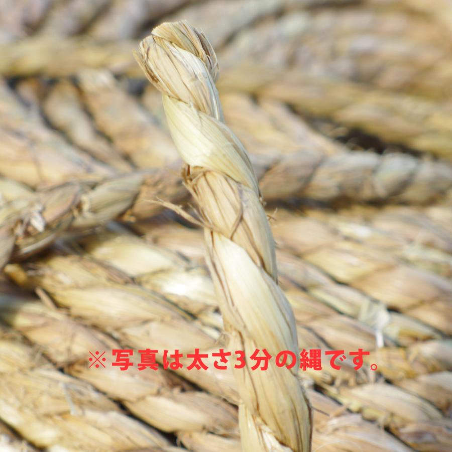 わら縄 農園芸 荒縄 たまなわ 根巻き 誘引 垣根縛り 藁なわ しめ縄