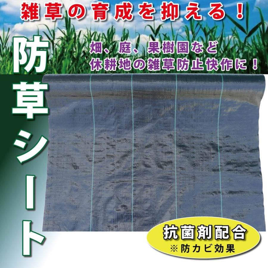 防草シート 1m 10m ブラック 草よけ 防草に 雑草防止被覆 St Bousou 1 10 清すトア ヤフーショッピング店 通販 Yahoo ショッピング