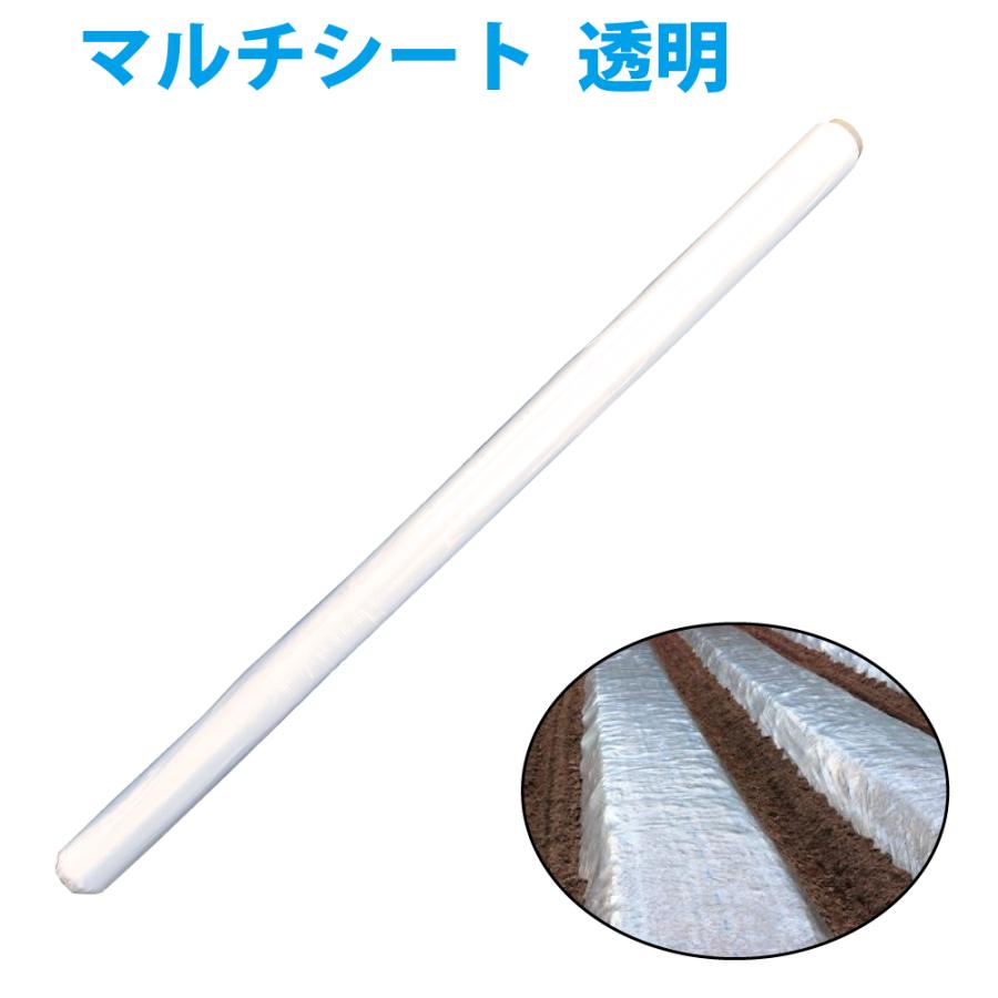 大型宅配160 マルチシート 透明 厚さ0 02mm 巾135cm 長さ50m 白マルチ 野菜栽培 菜園用 マルチング St Multi Cl 135 清すトア ヤフーショッピング店 通販 Yahoo ショッピング